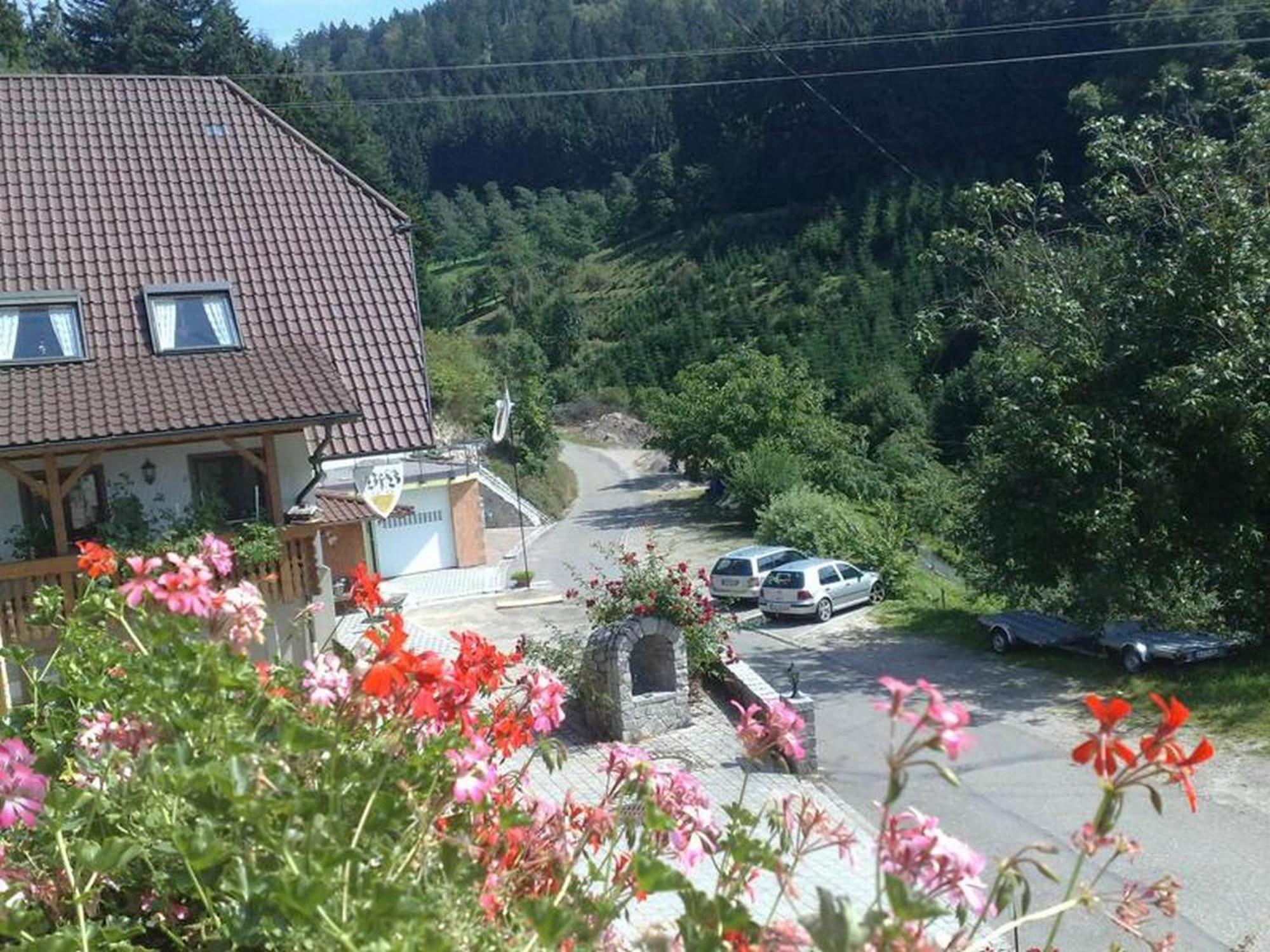 Ferienwohnung Schneckenhus Lautenbach Exterior foto