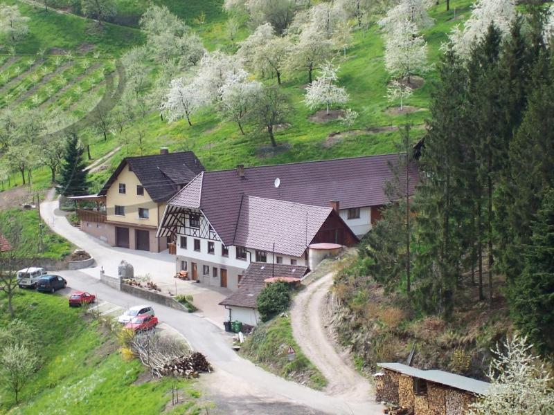 Ferienwohnung Schneckenhus Lautenbach Exterior foto