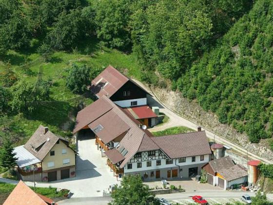 Ferienwohnung Schneckenhus Lautenbach Exterior foto